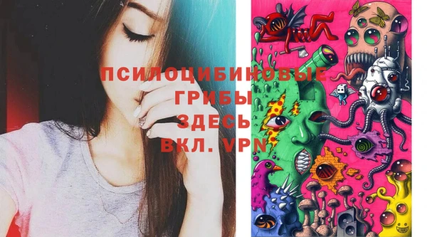 СК Абаза