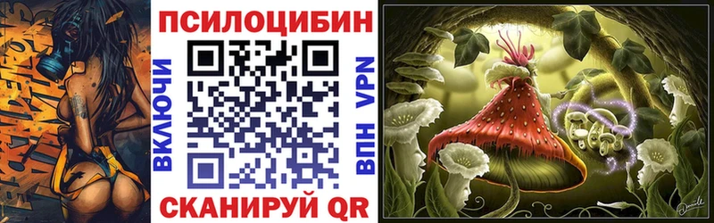 купить наркотик  Анапа  OMG как зайти  Галлюциногенные грибы GOLDEN TEACHER 